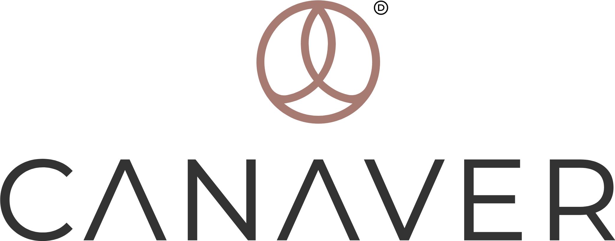 logo canaver
